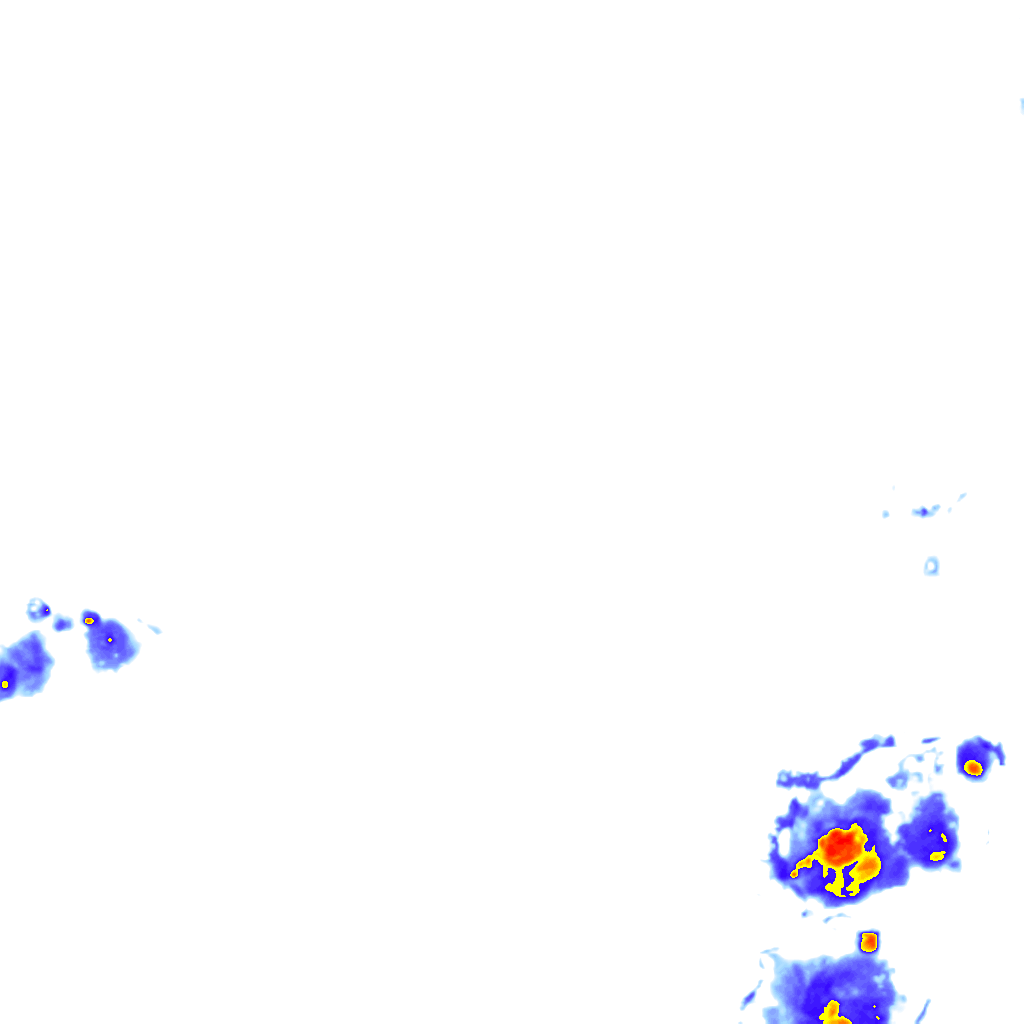 rainLayer