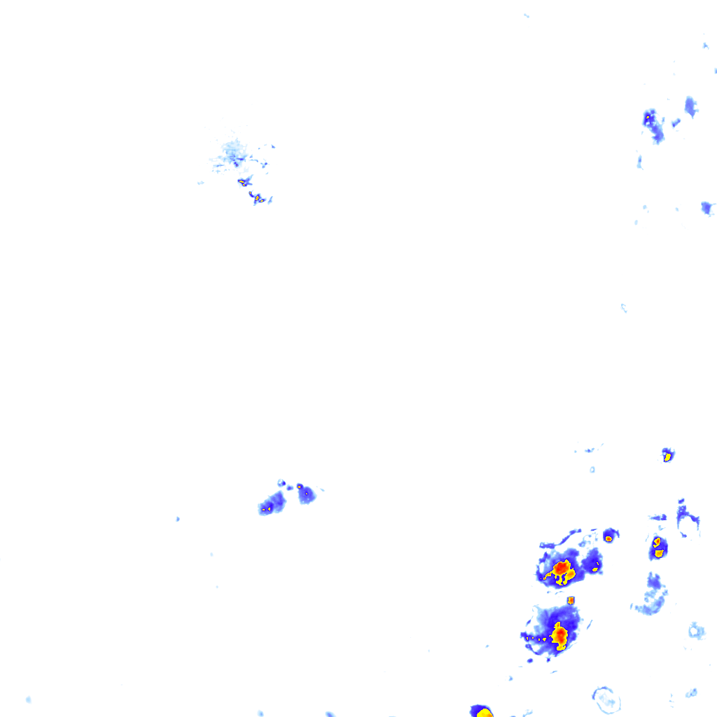 rainLayer