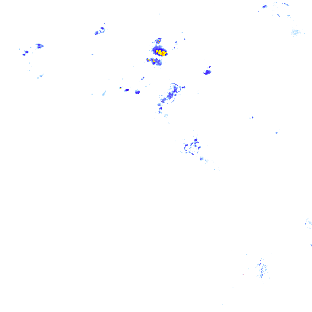 rainLayer