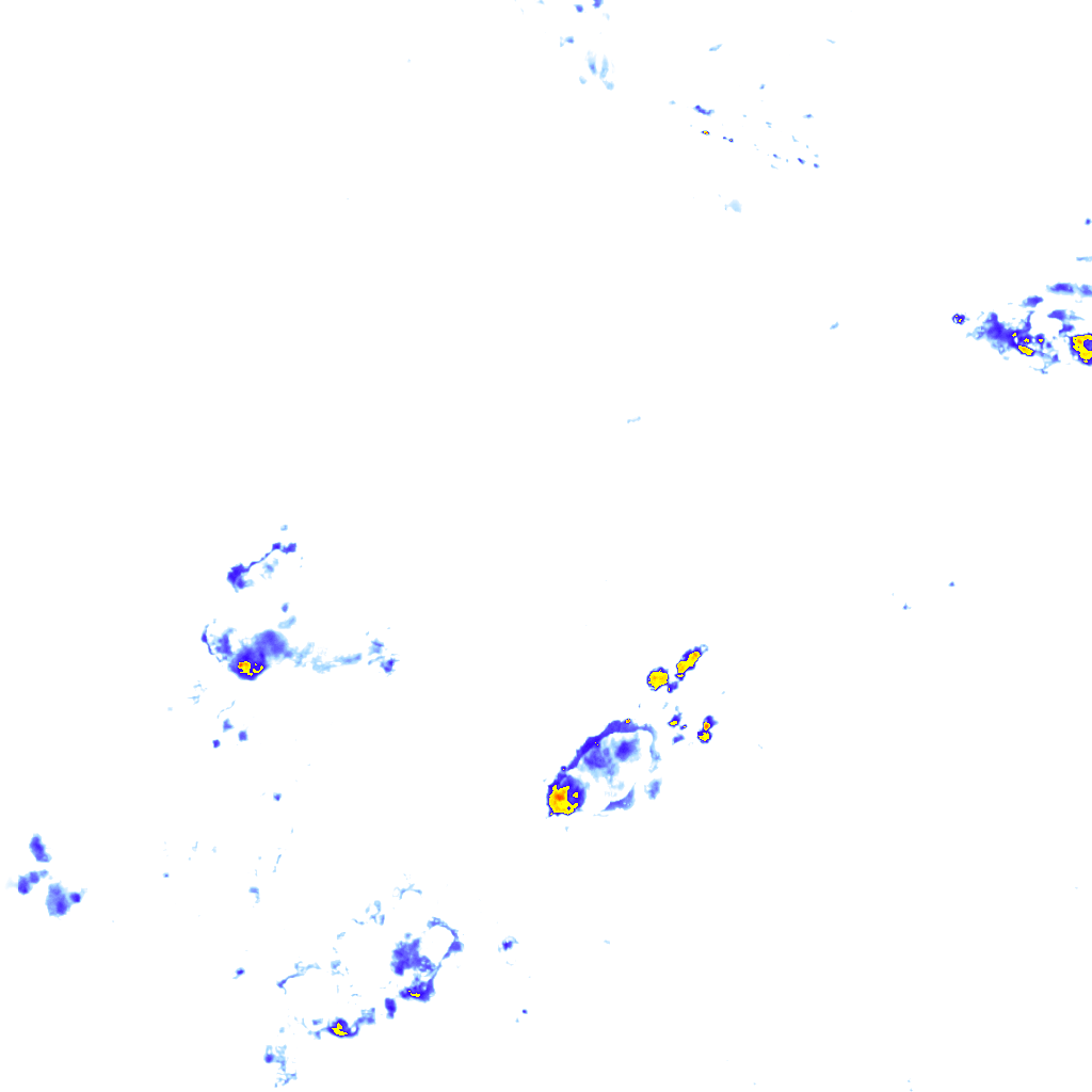 rainLayer
