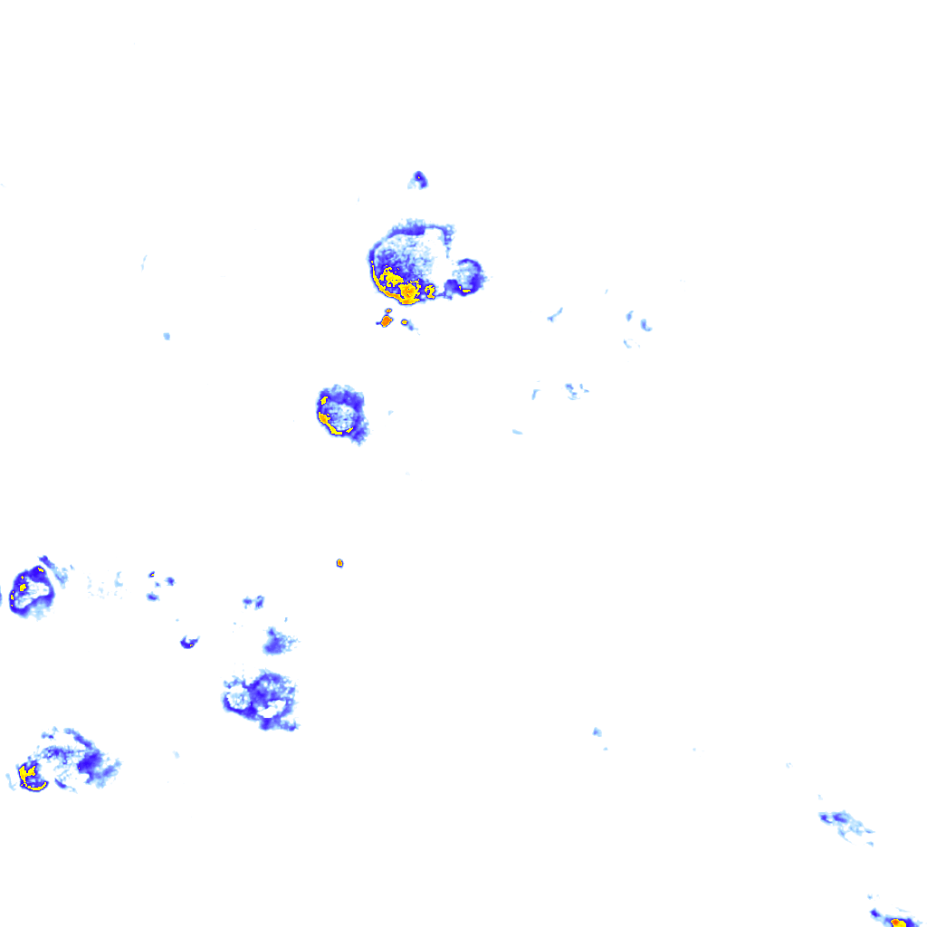 rainLayer