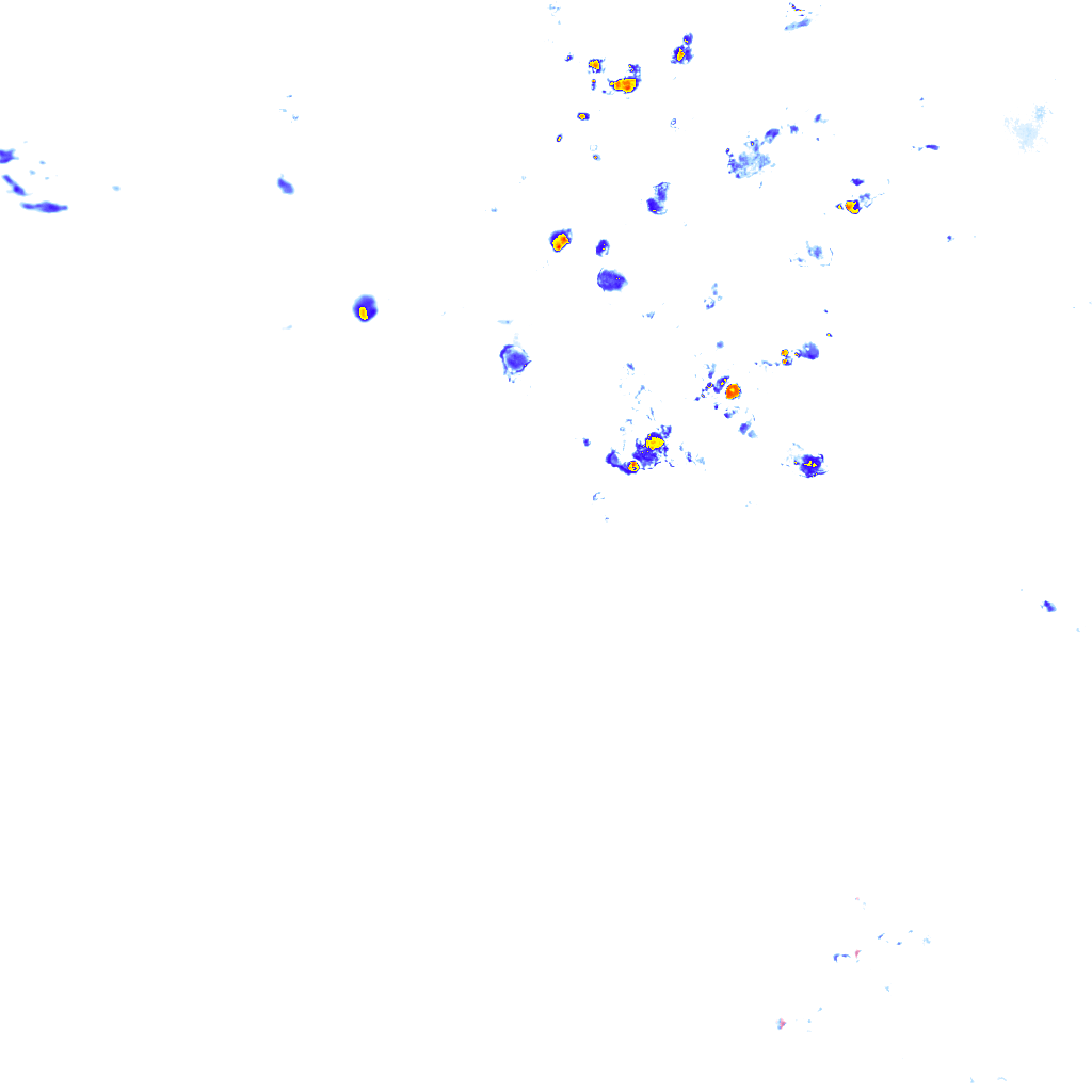 rainLayer