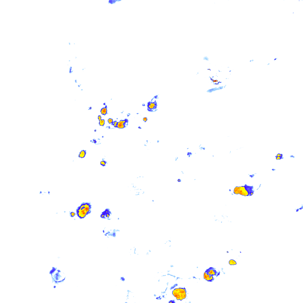 rainLayer