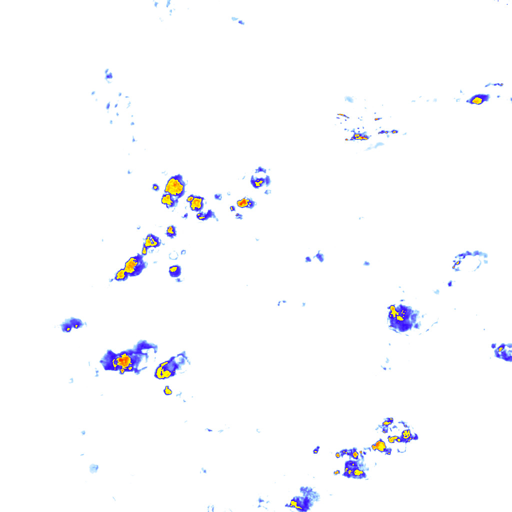 rainLayer