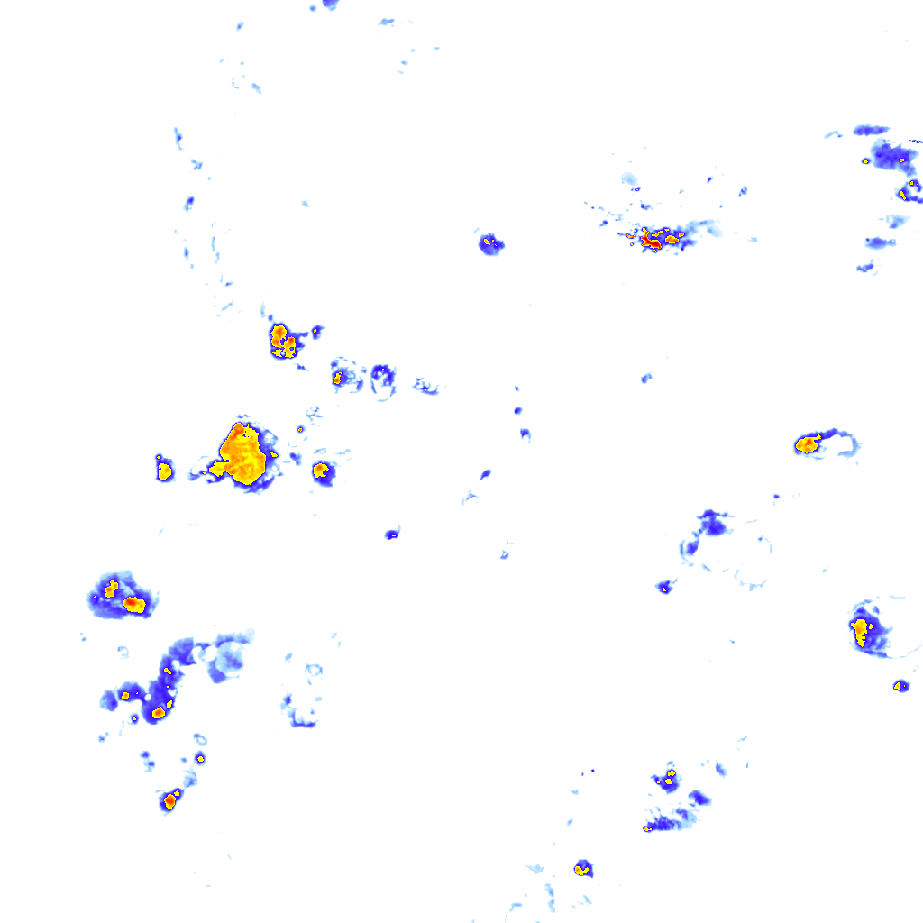 Image Layer