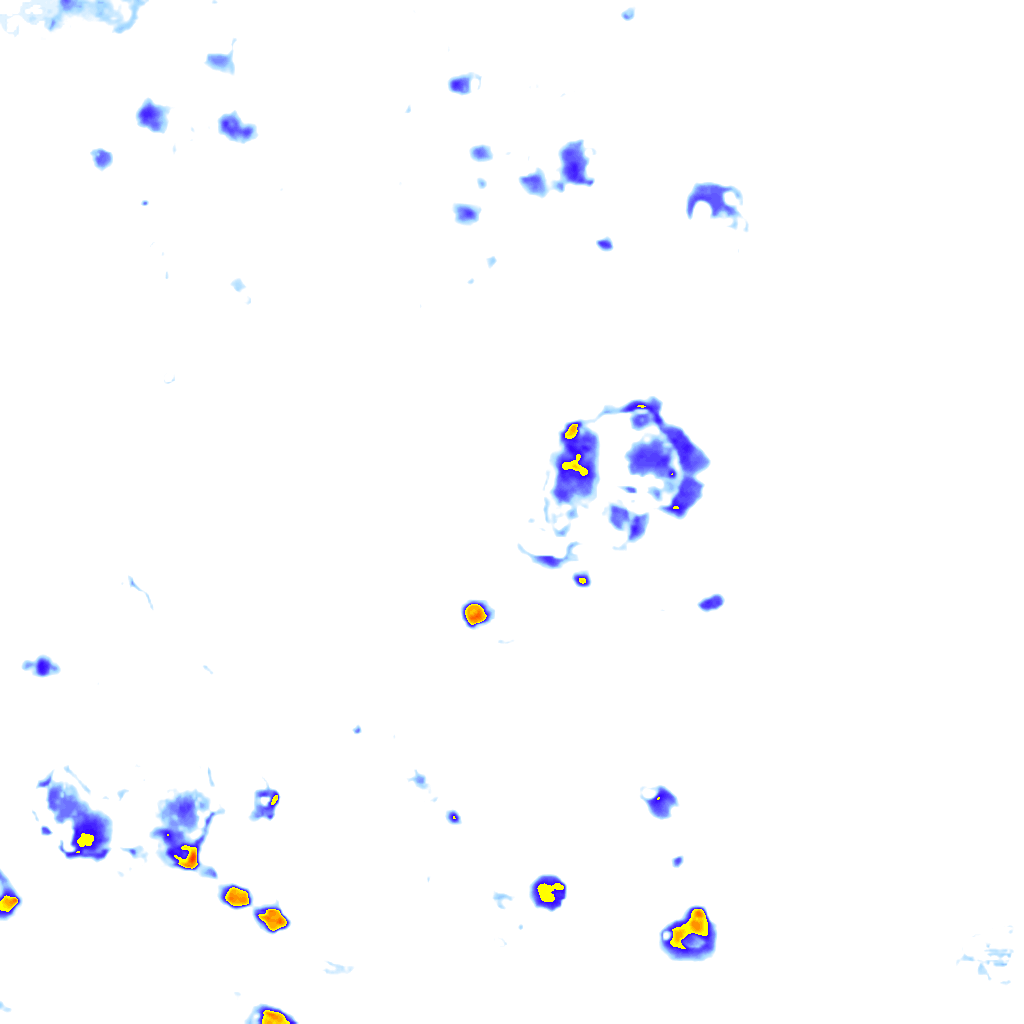 rainLayer