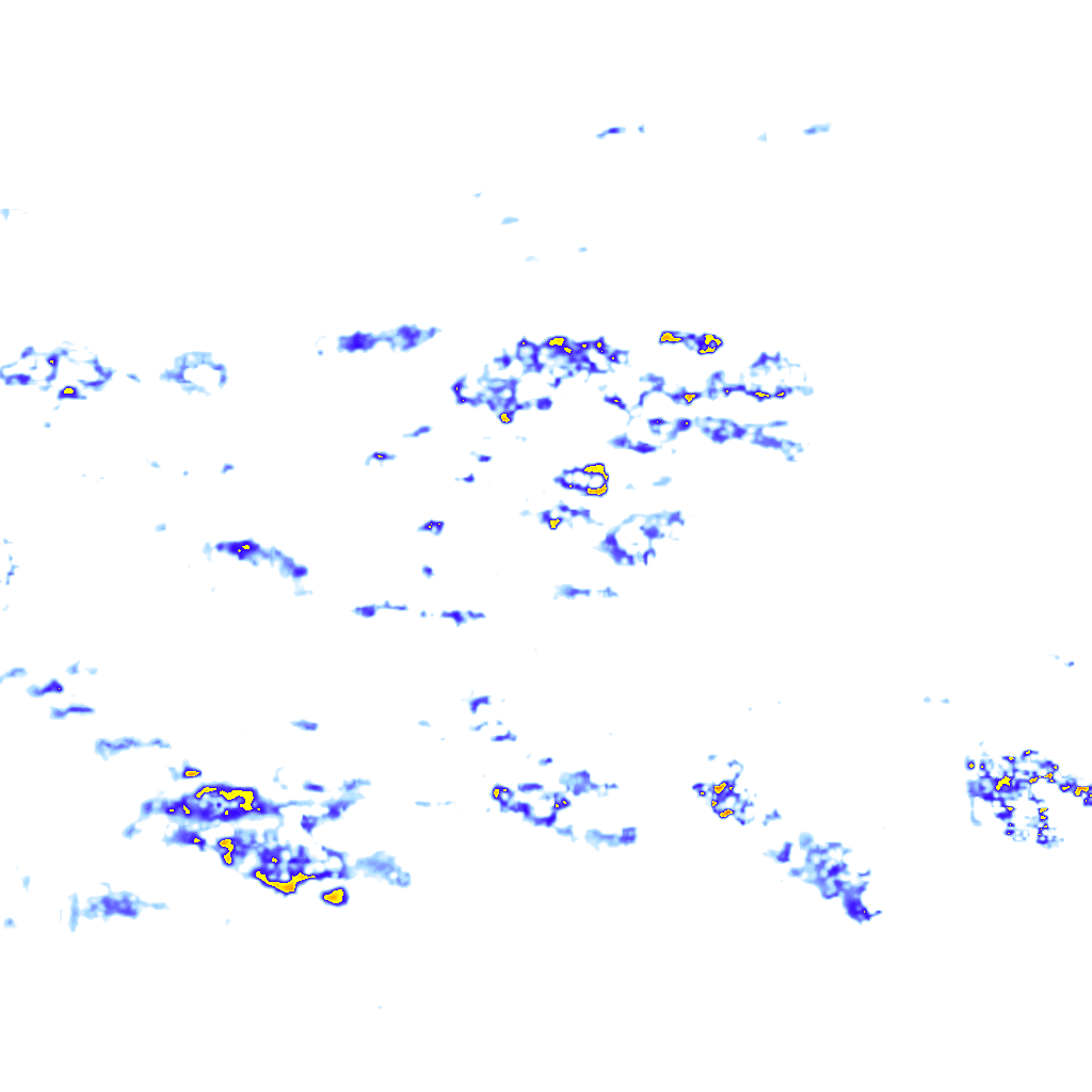 rainLayer