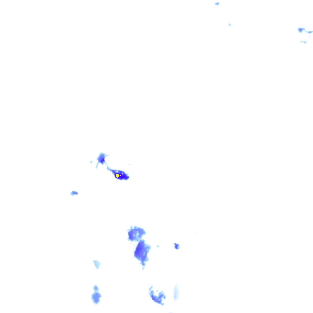 rainLayer