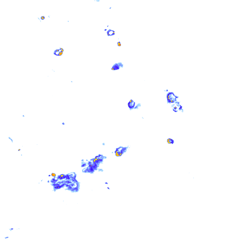 rainLayer