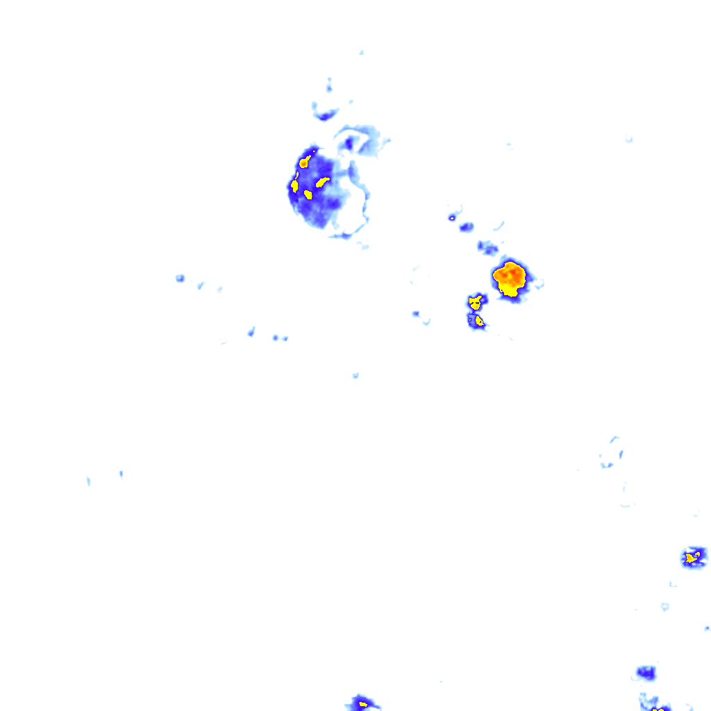 Image Layer