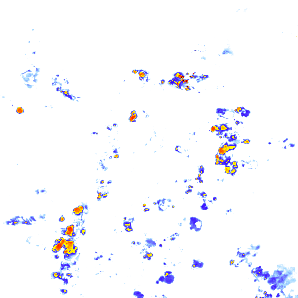 rainLayer