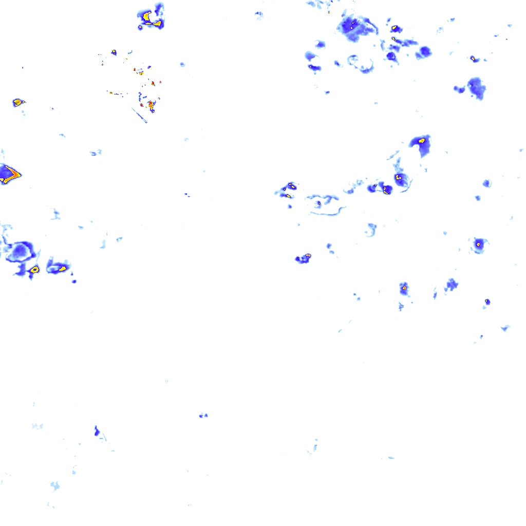 rainLayer