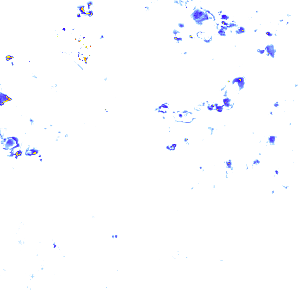 rainLayer