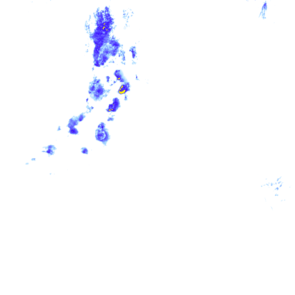 rainLayer