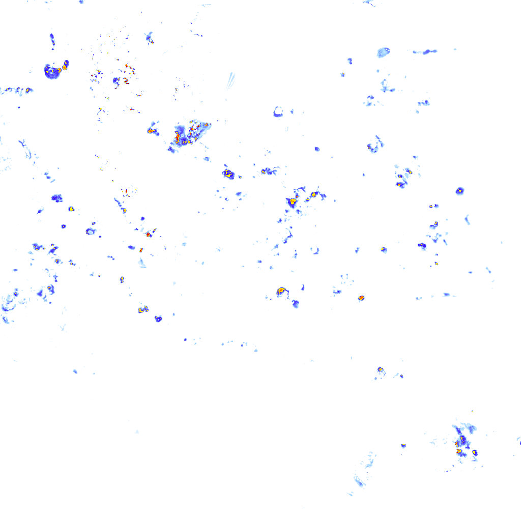 rainLayer