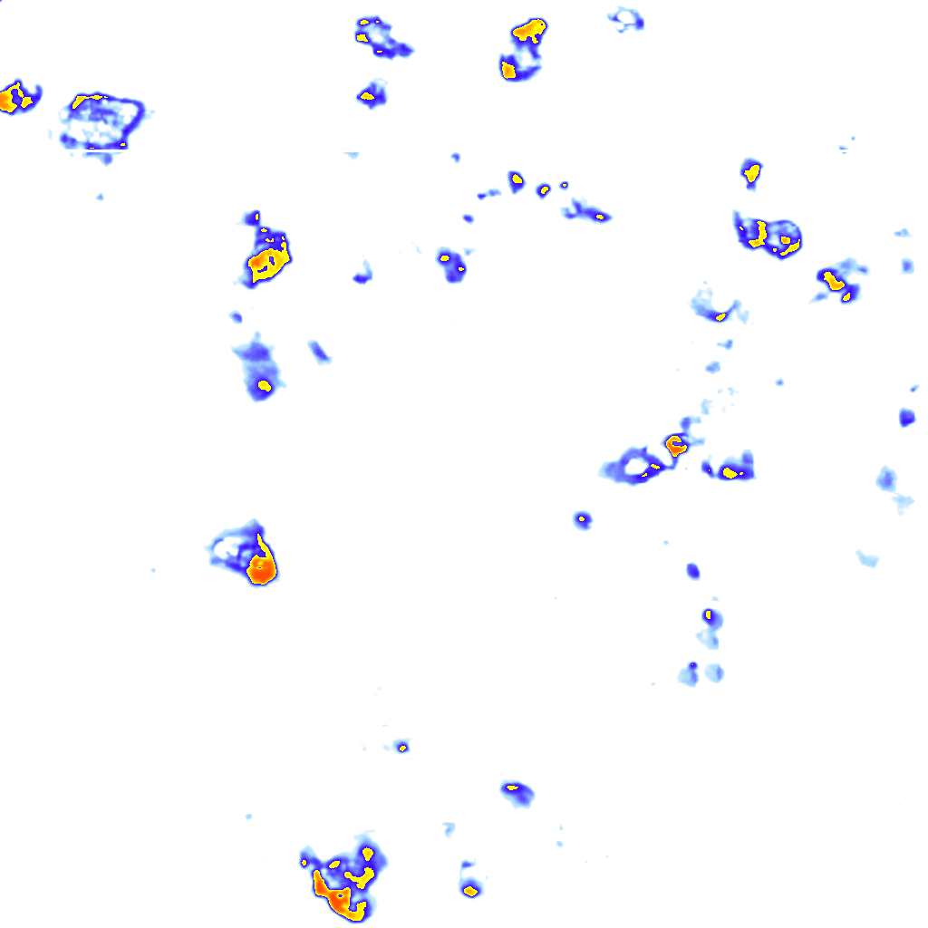 Image Layer