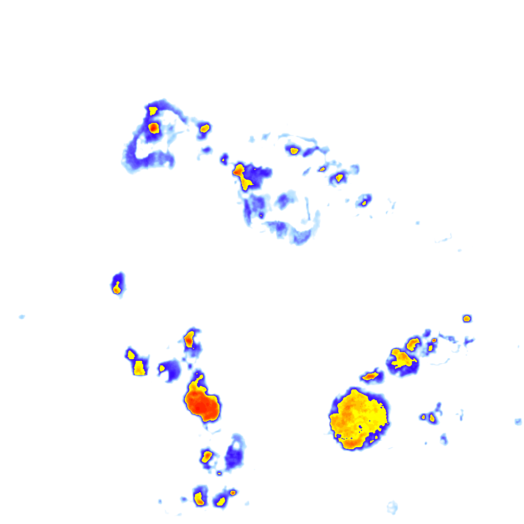 Image Layer
