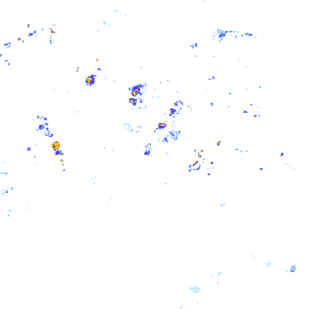 rainLayer