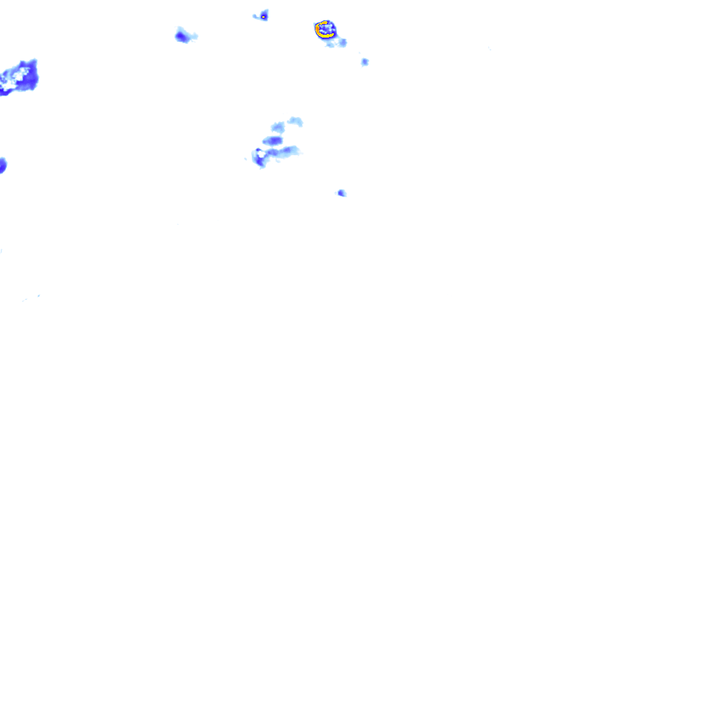 rainLayer