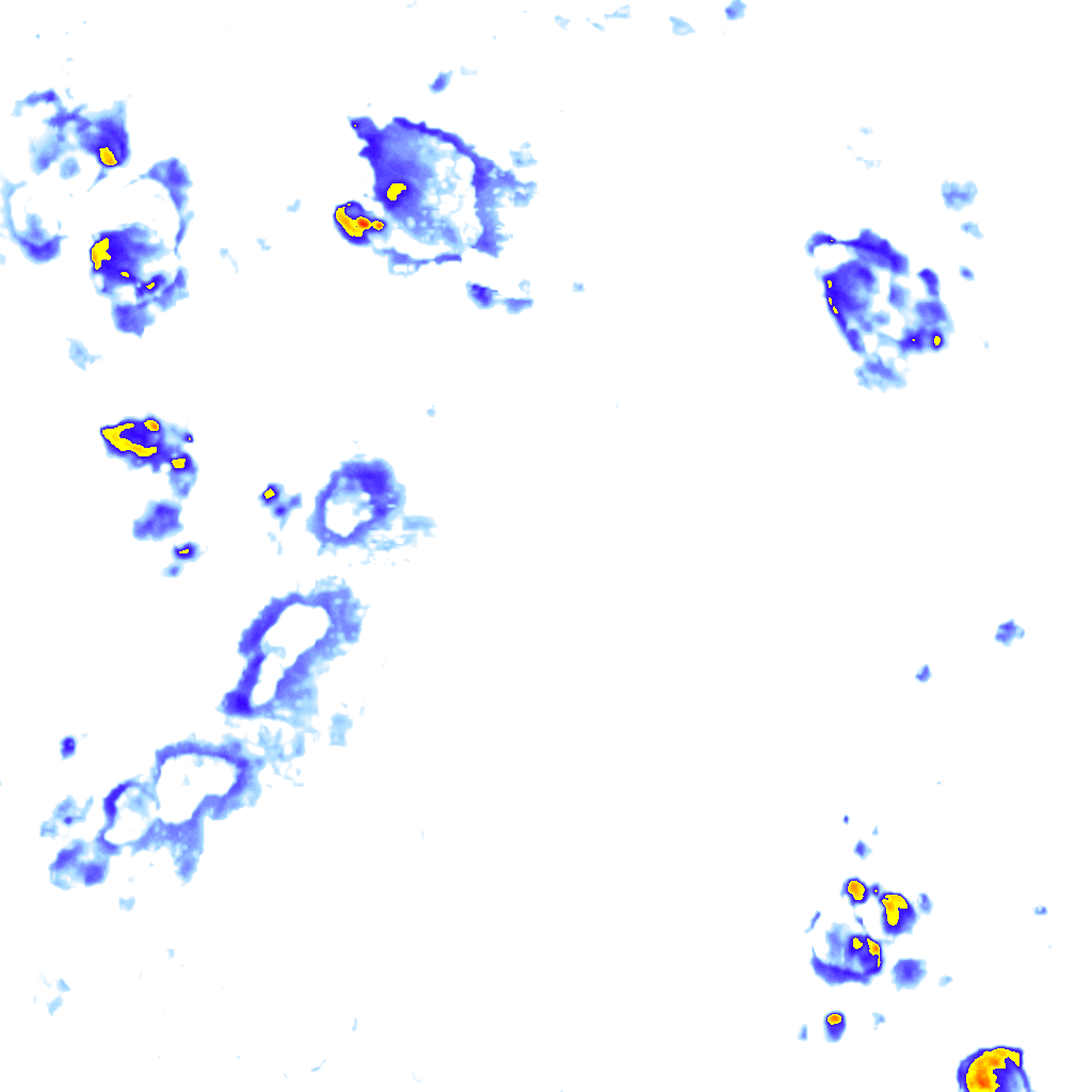 Image Layer