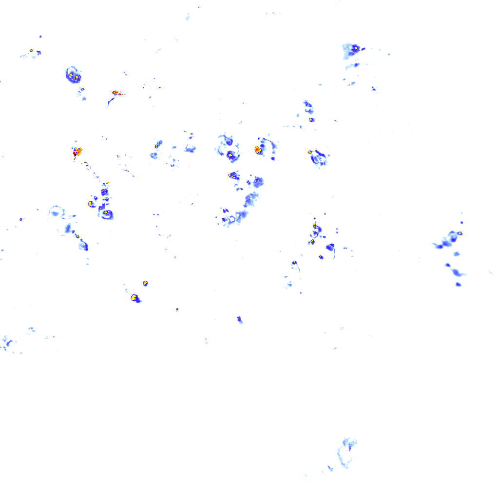 rainLayer