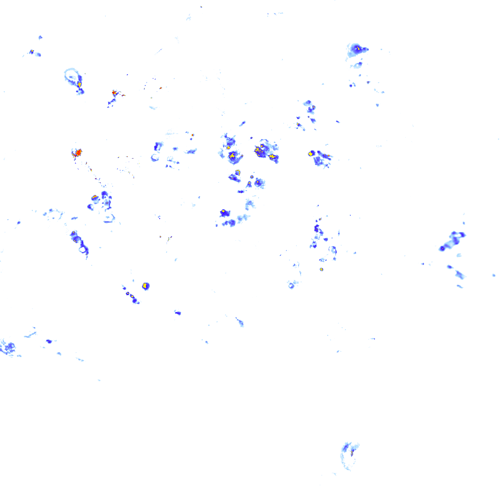 rainLayer