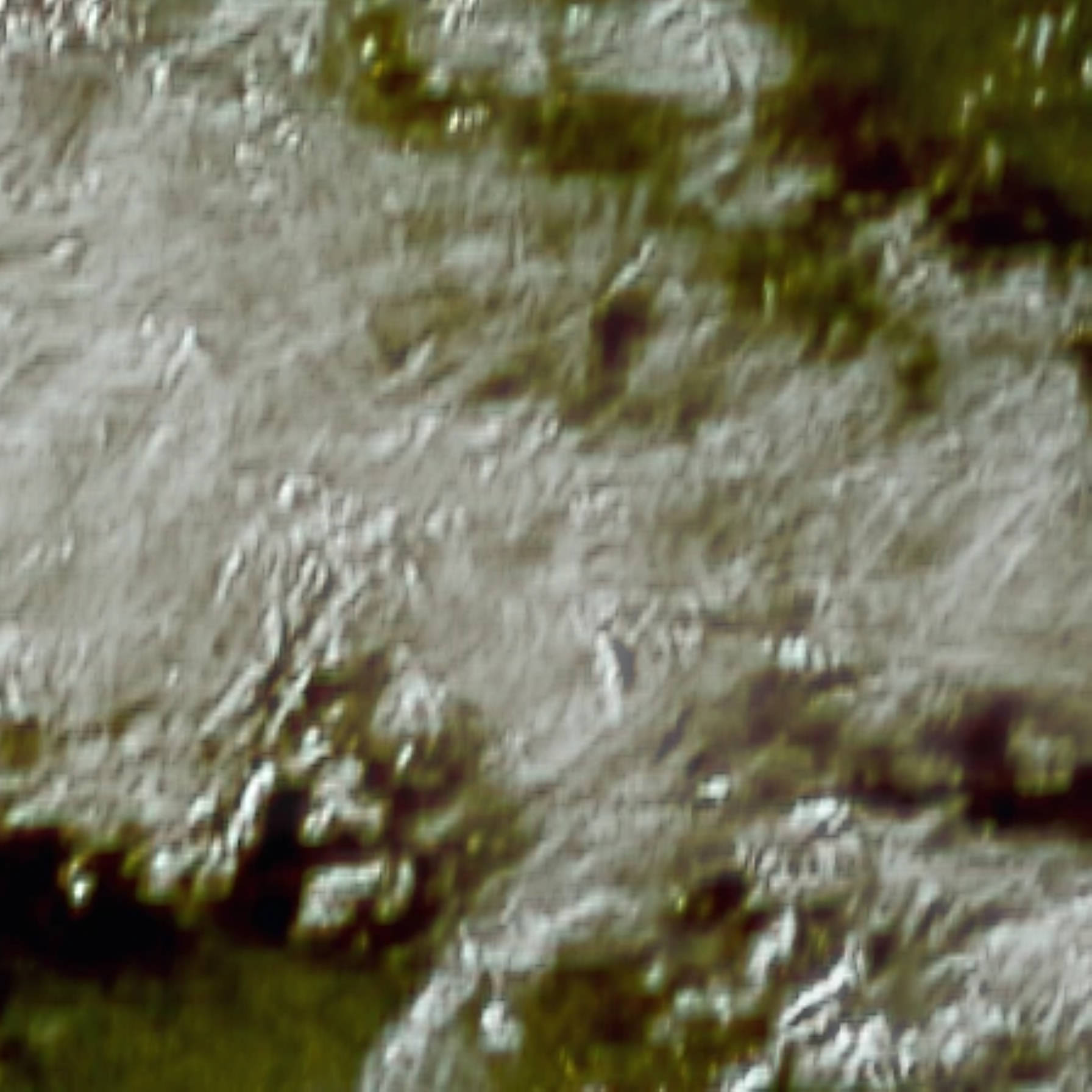 satLayer