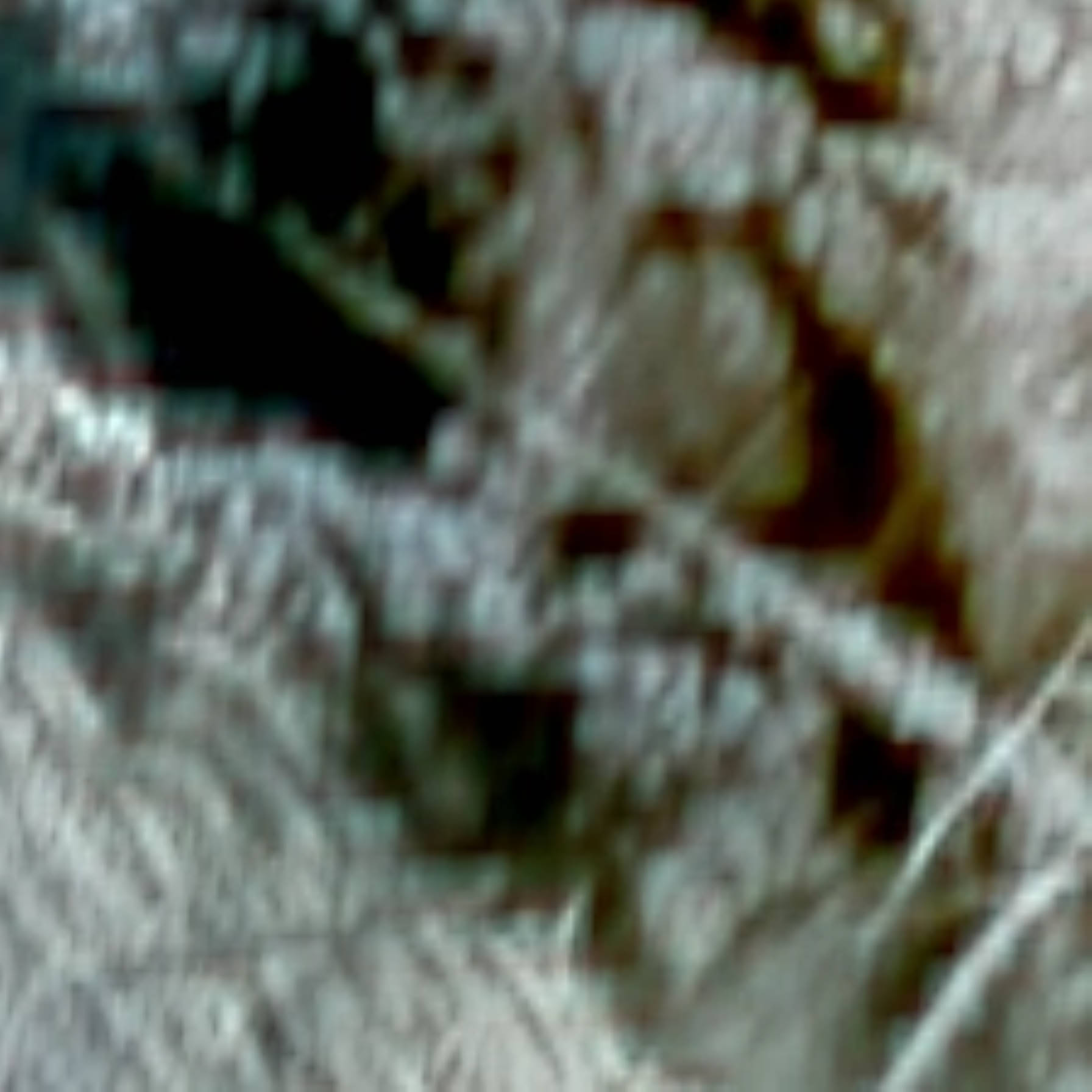 satLayer