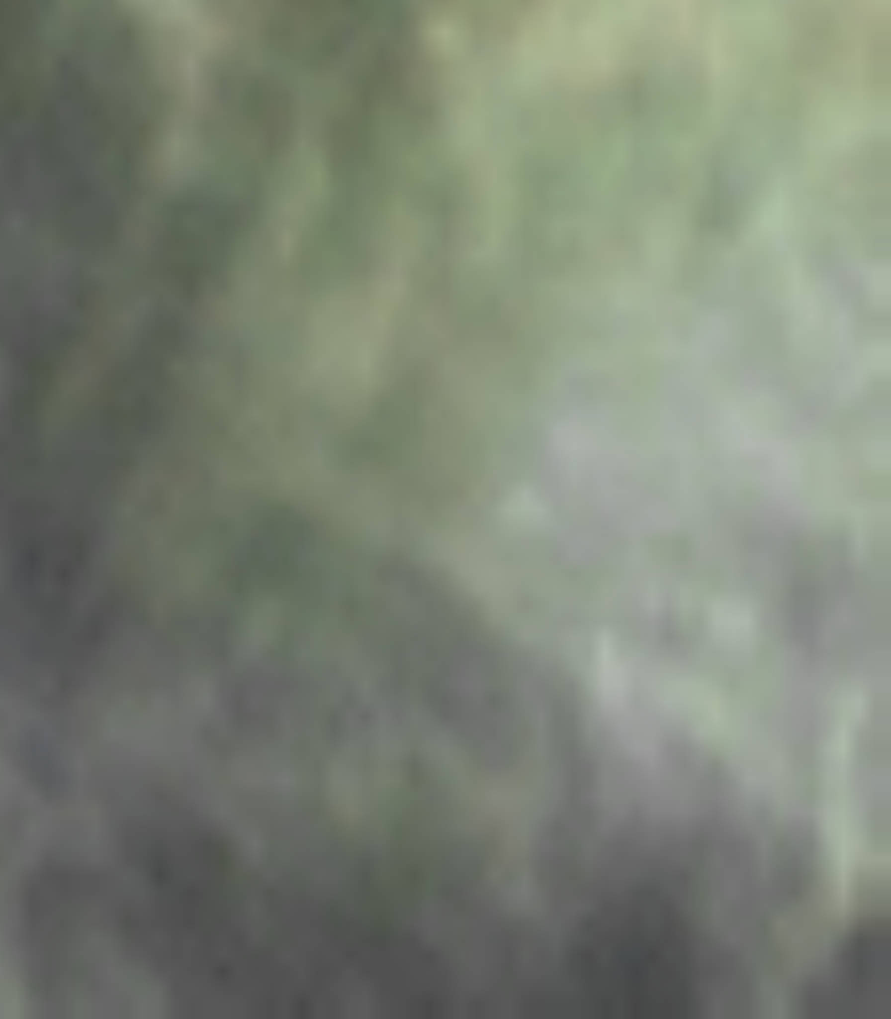 satLayer