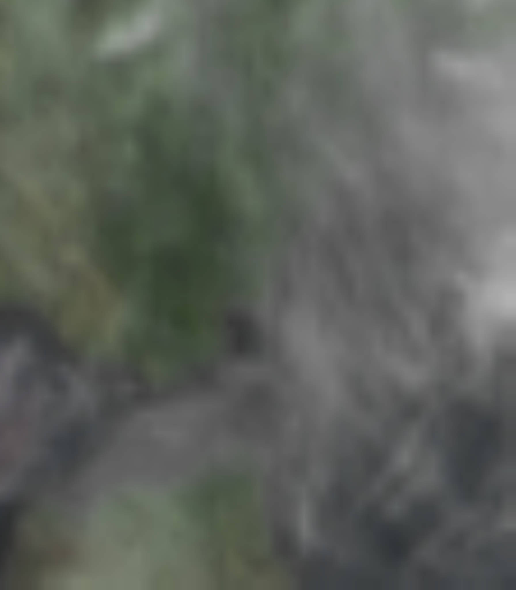 satLayer