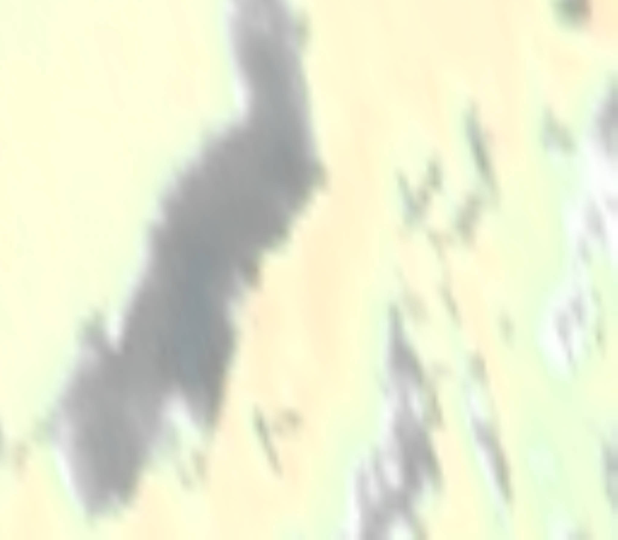 satLayer
