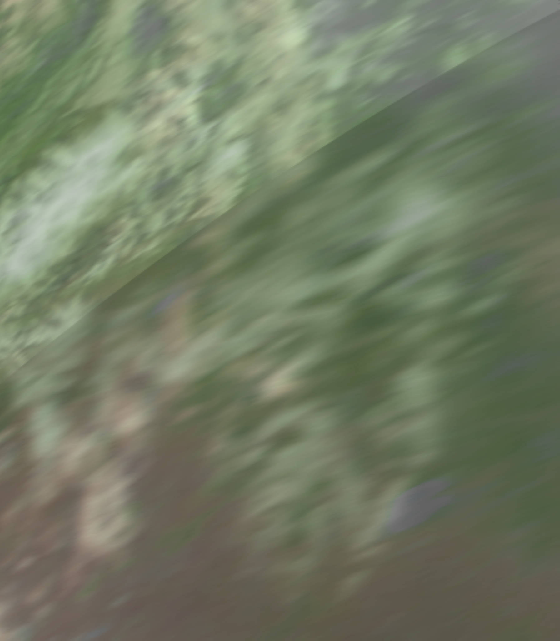 satLayer