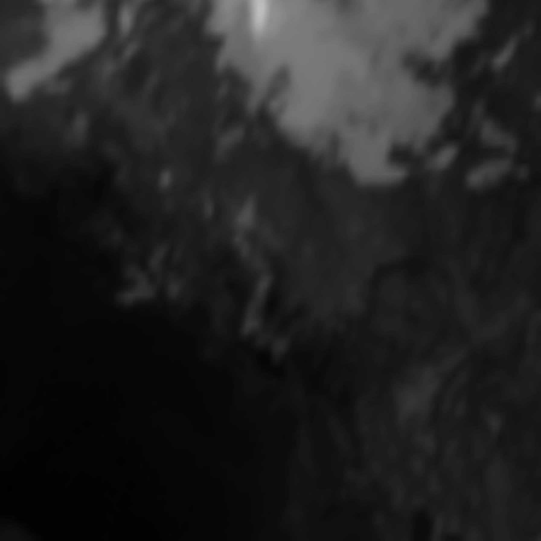 satLayer