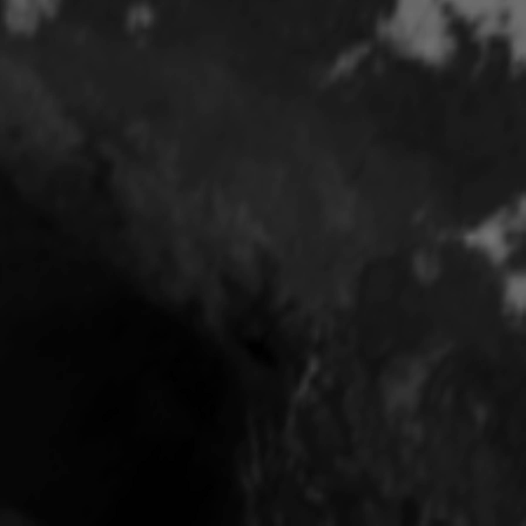 satLayer