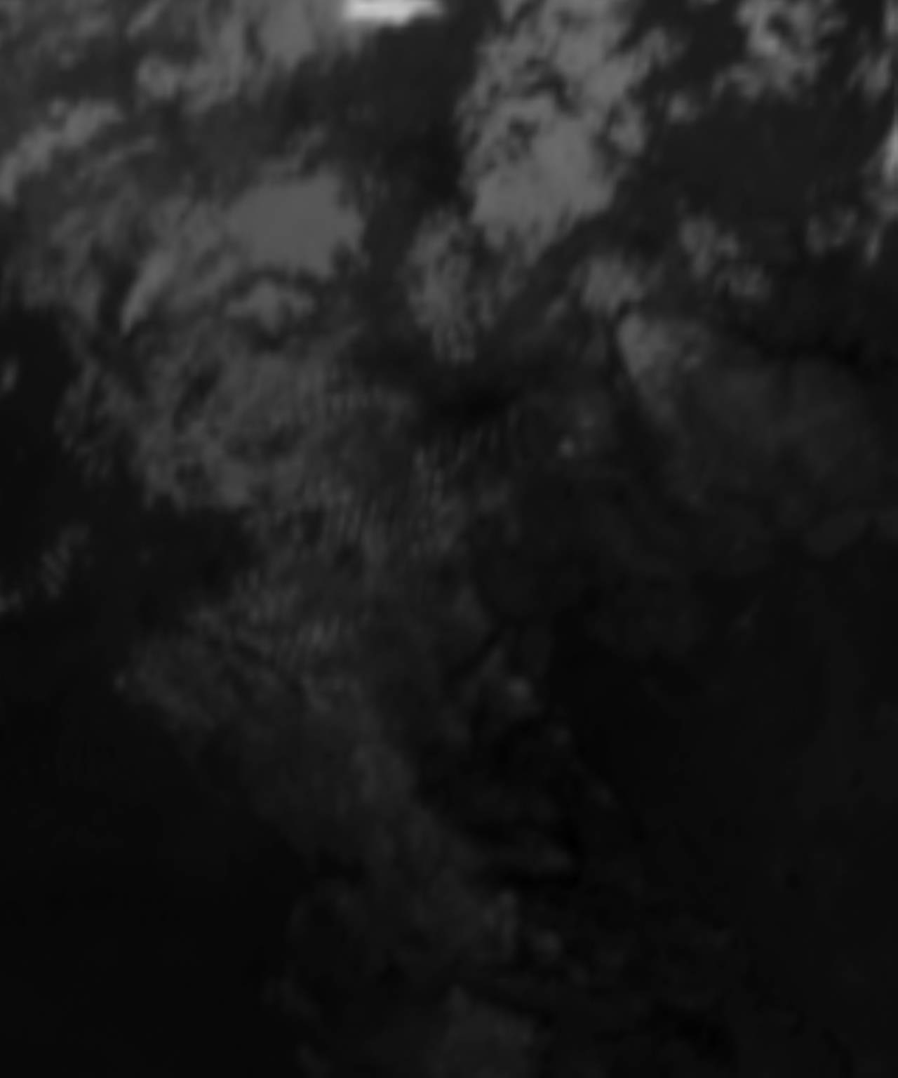 satLayer