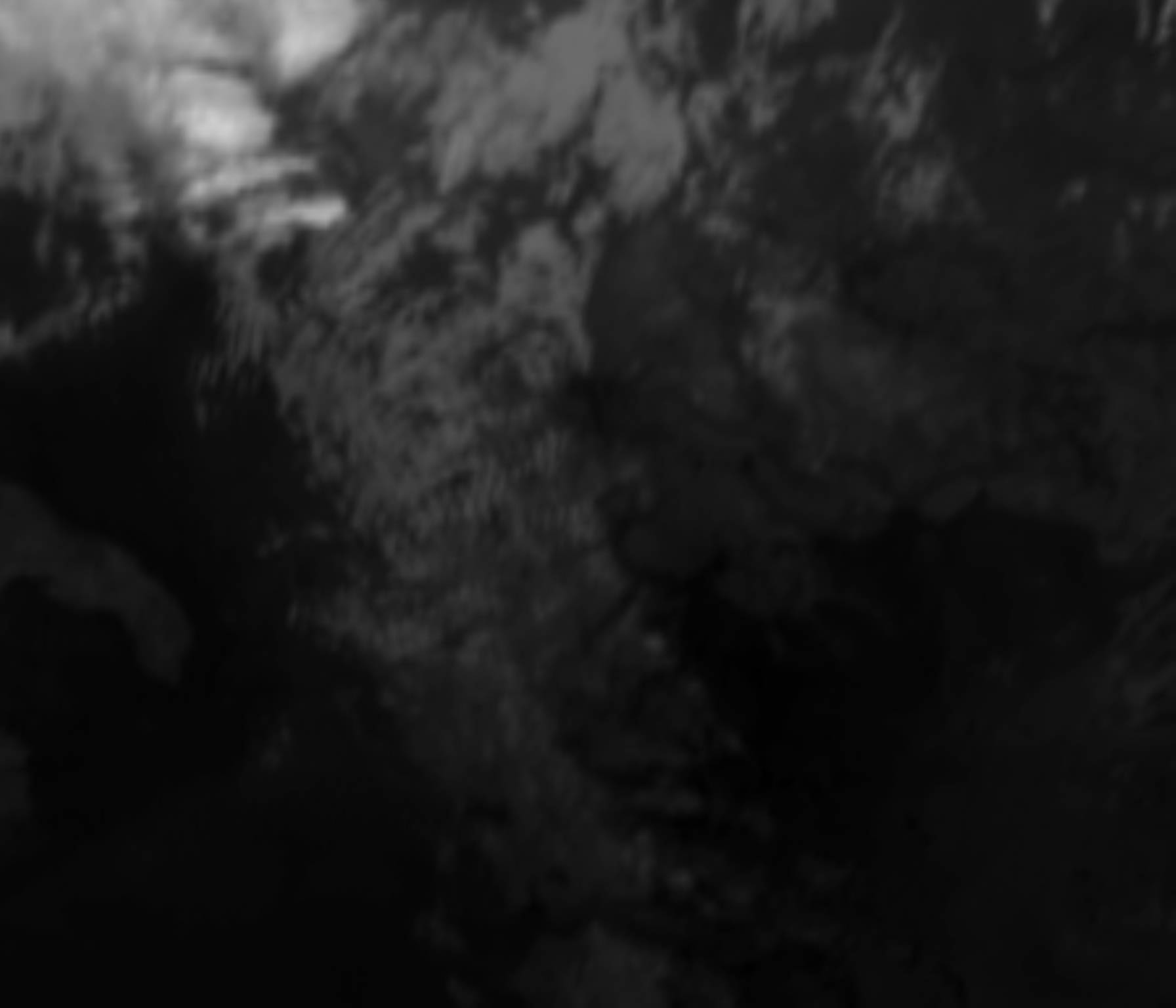 satLayer