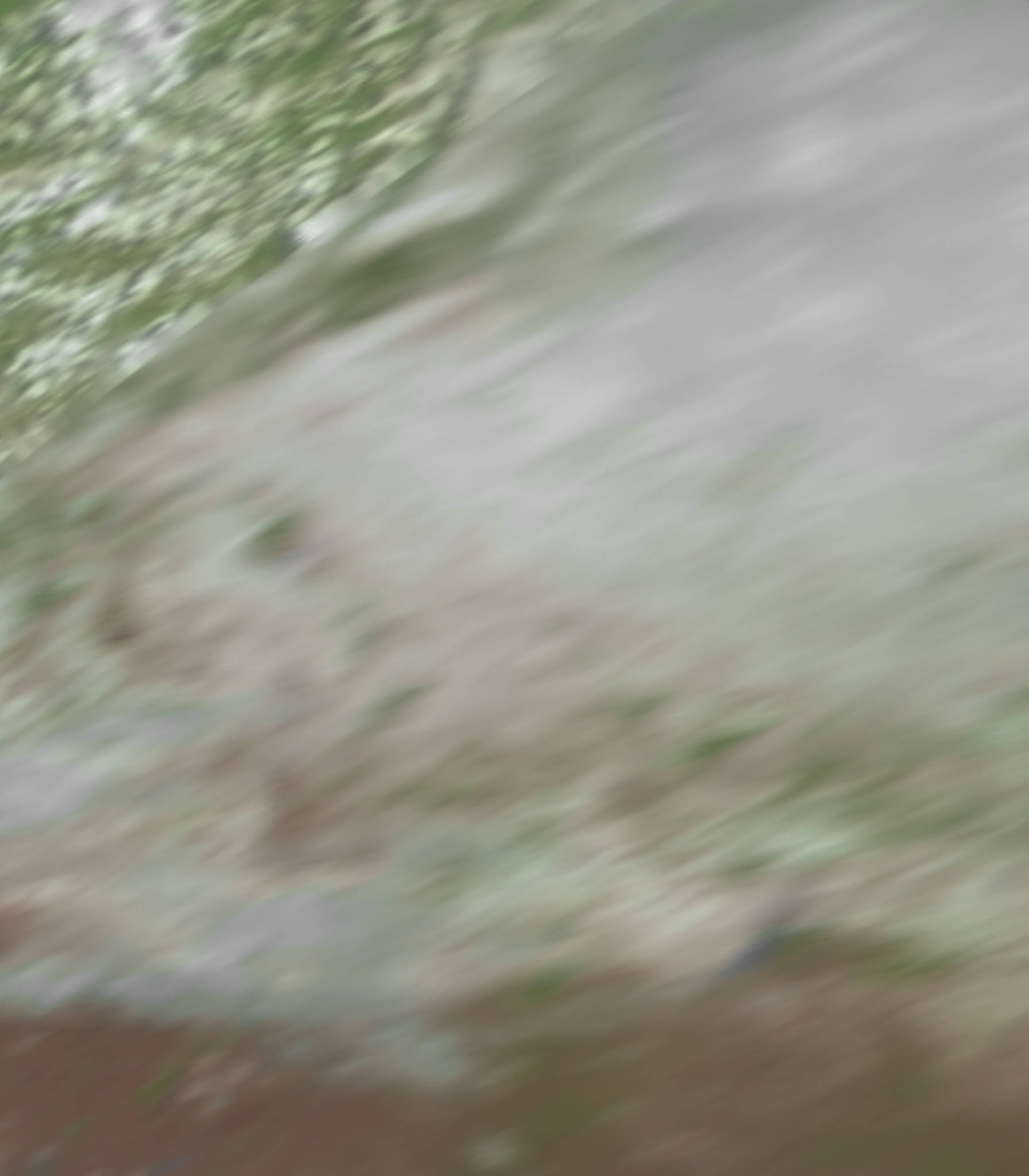 satLayer