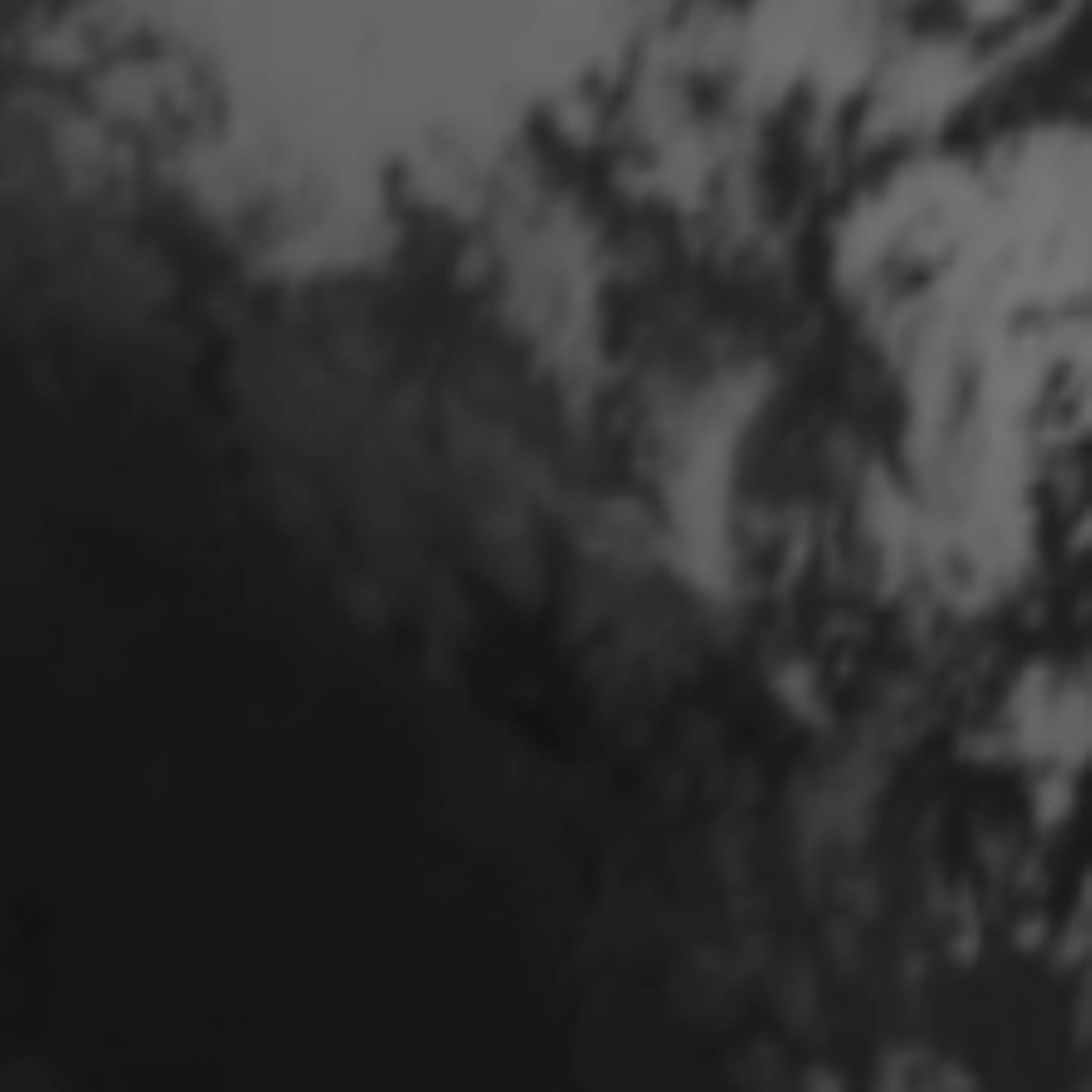 satLayer