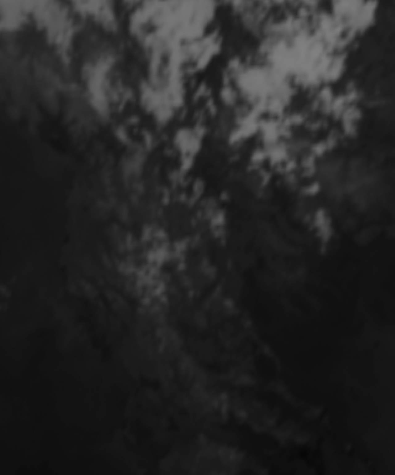 satLayer