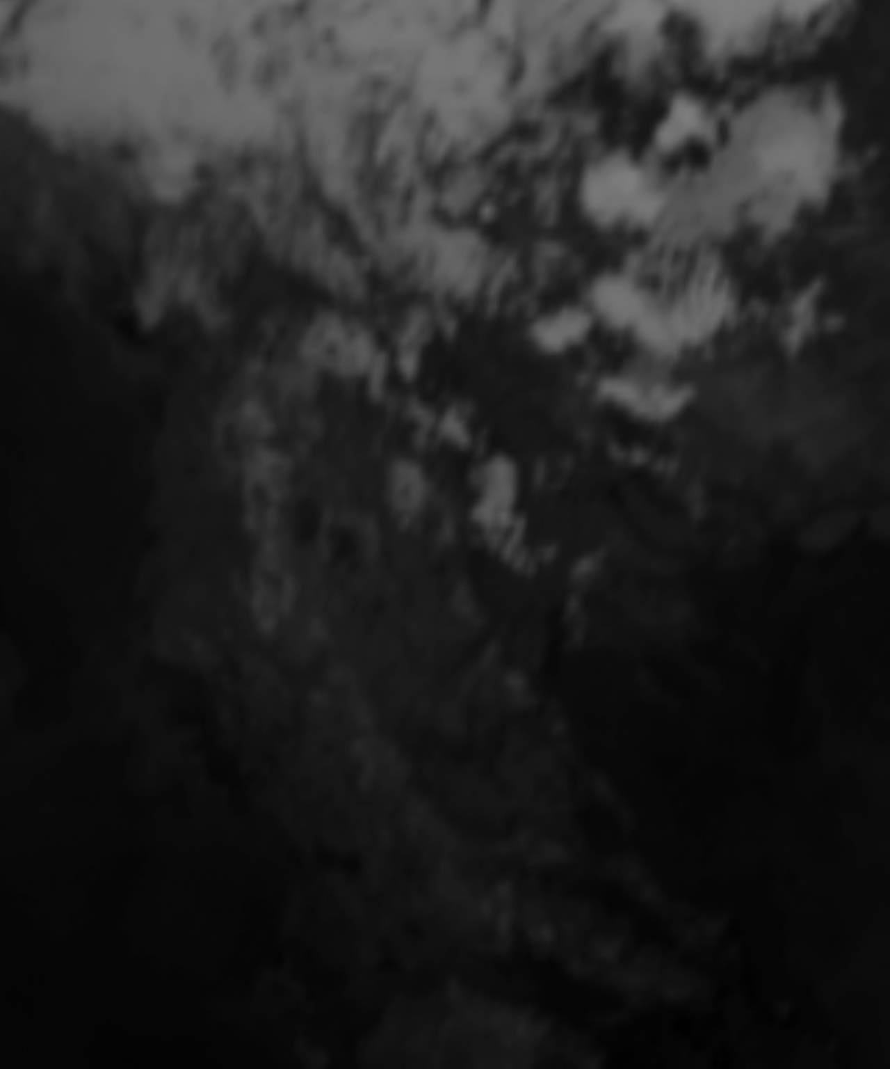 satLayer