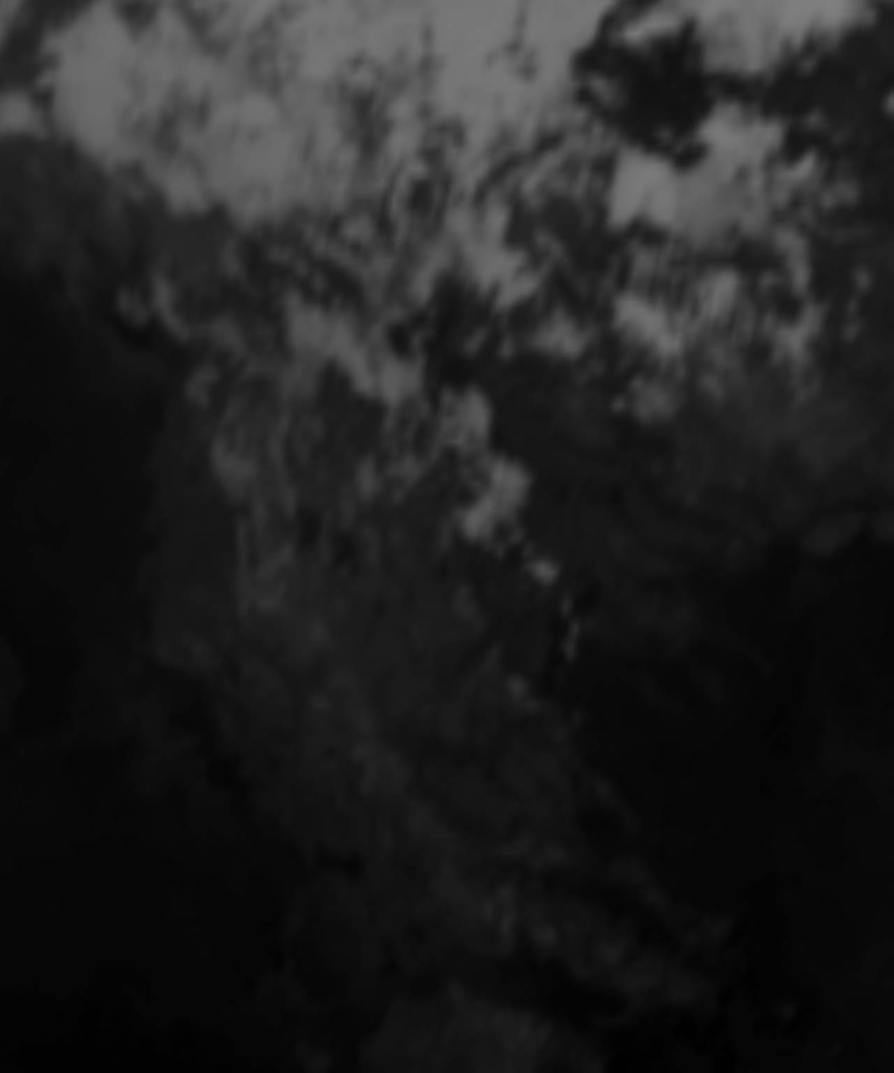 satLayer