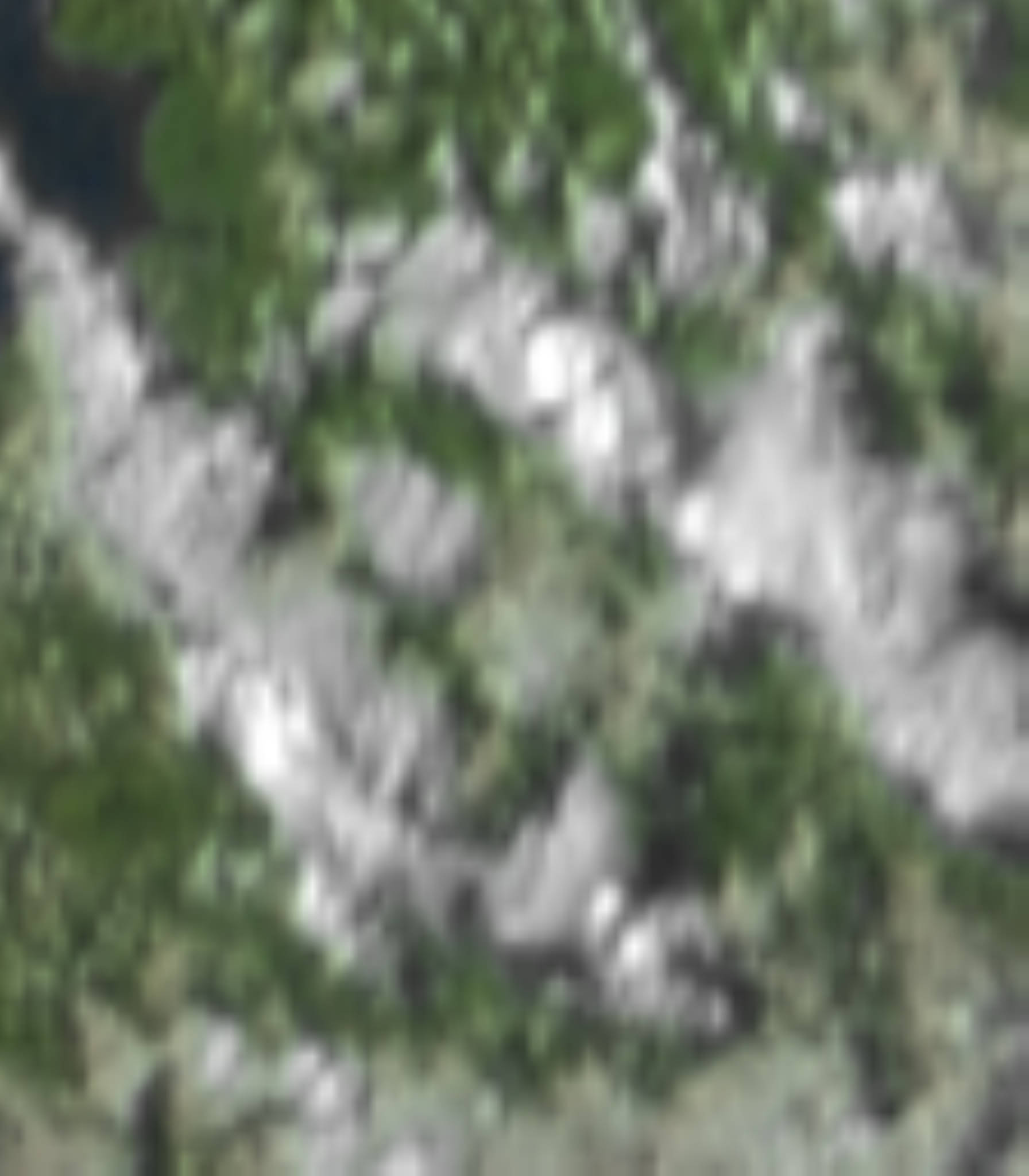 satLayer