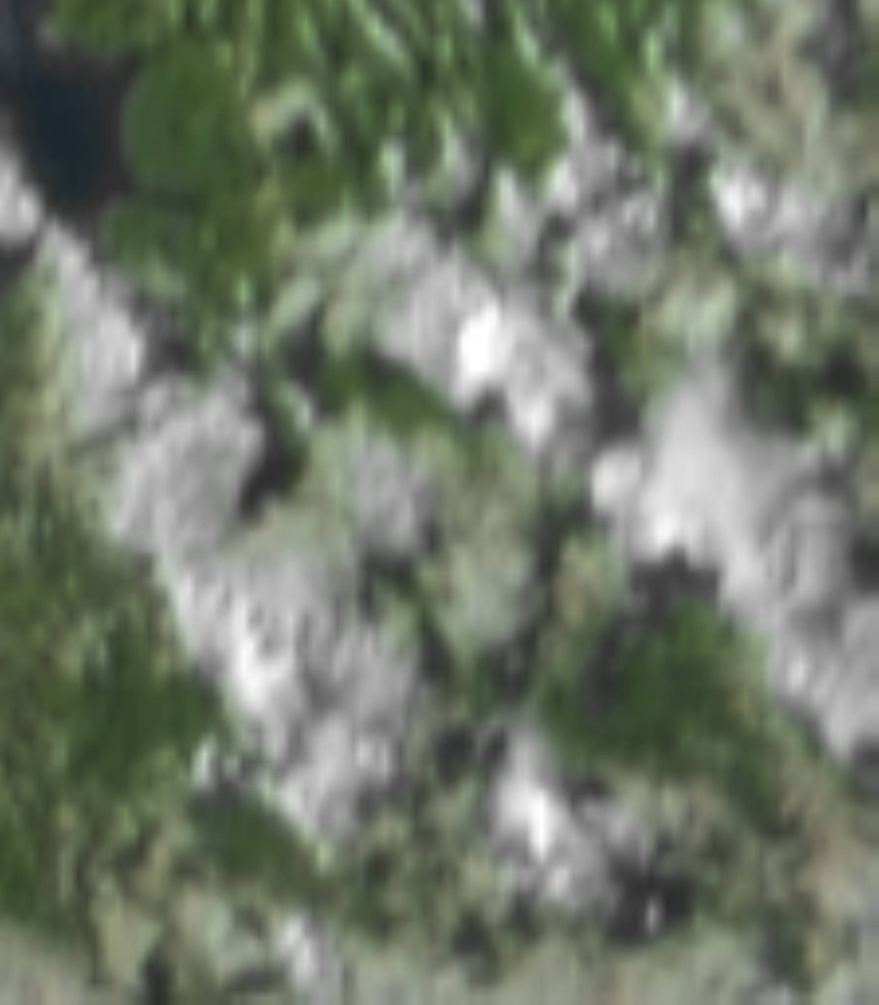 satLayer