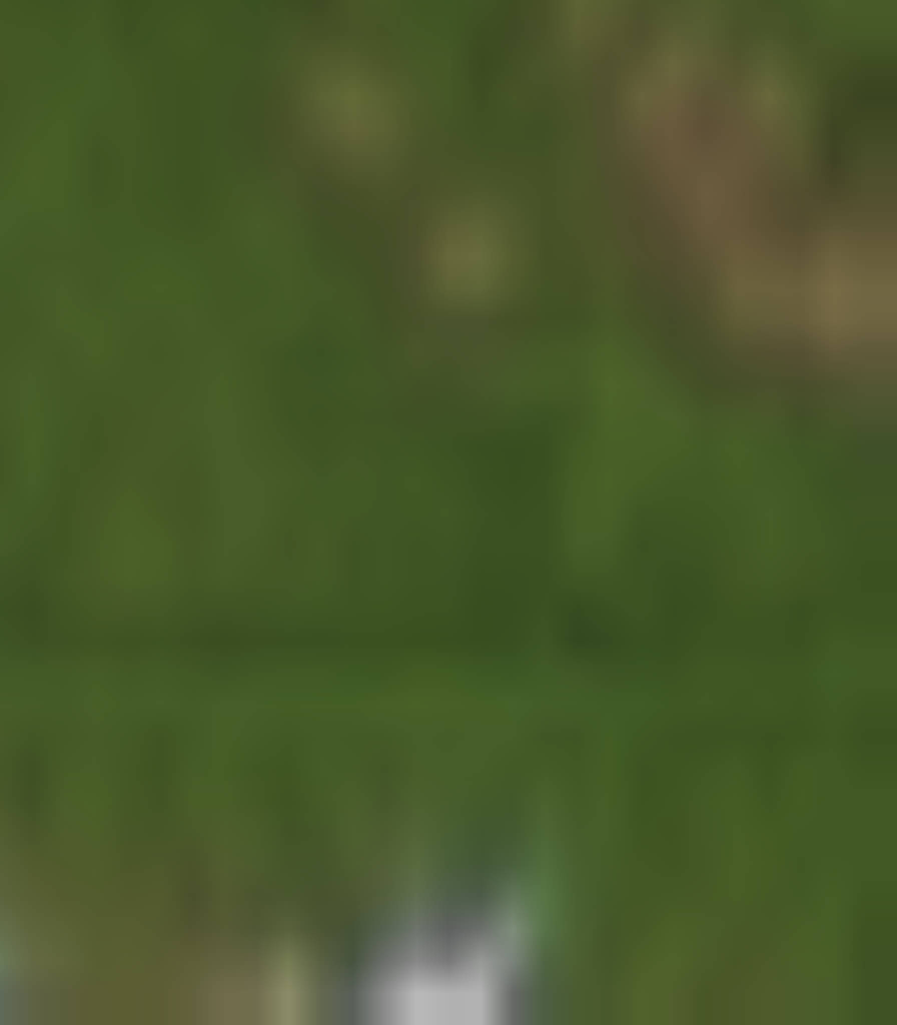 satLayer