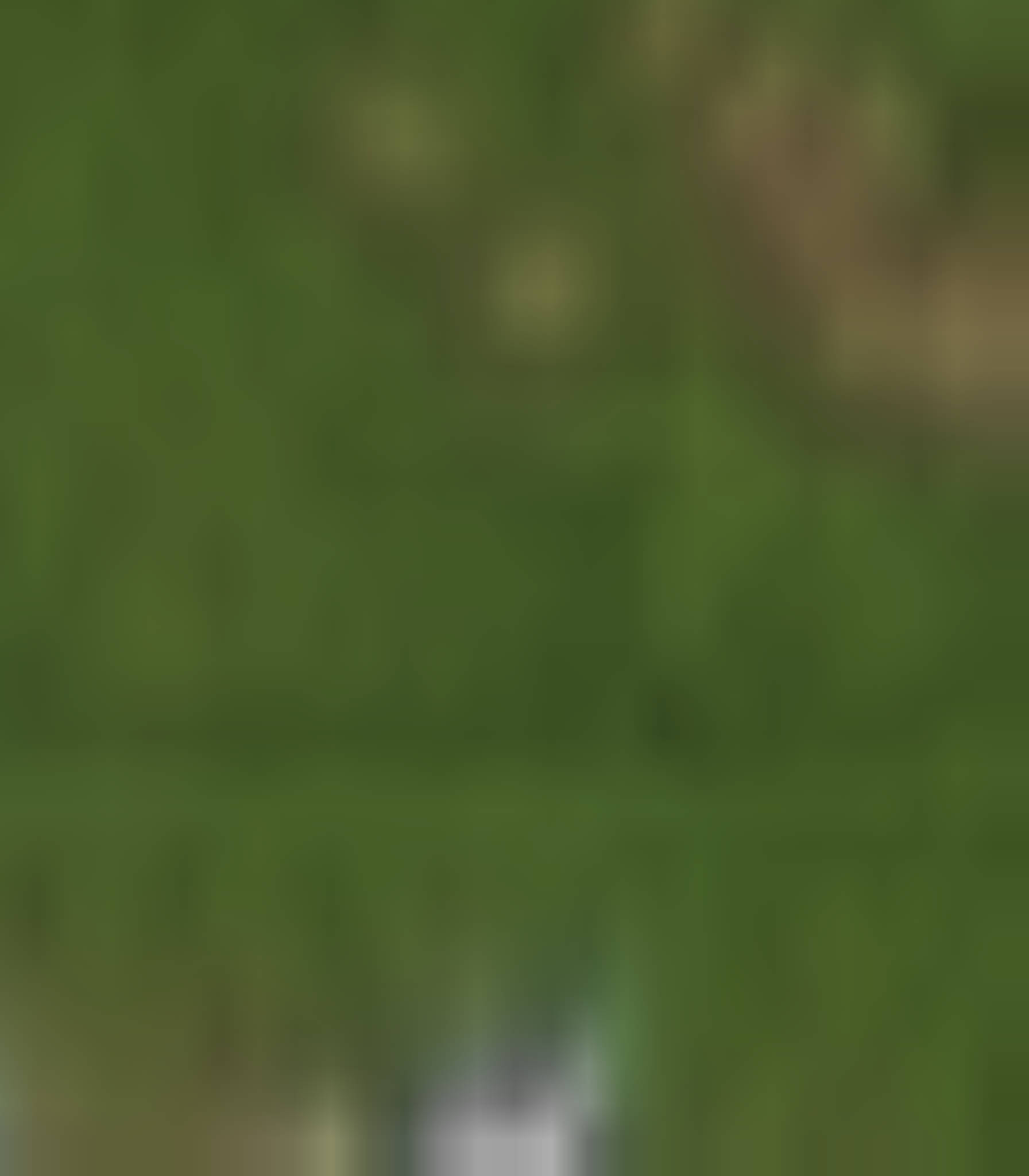 satLayer