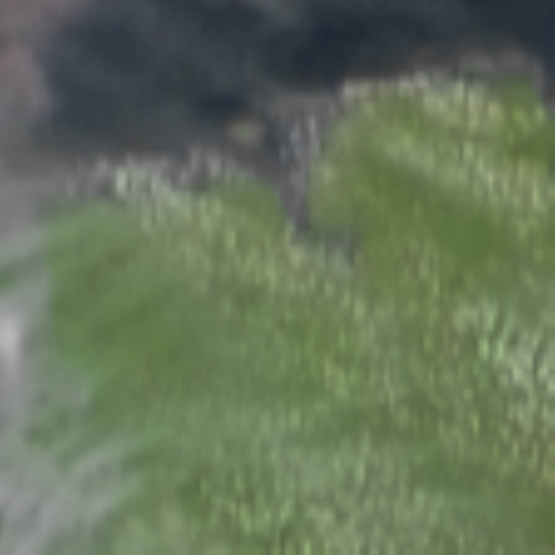 satLayer