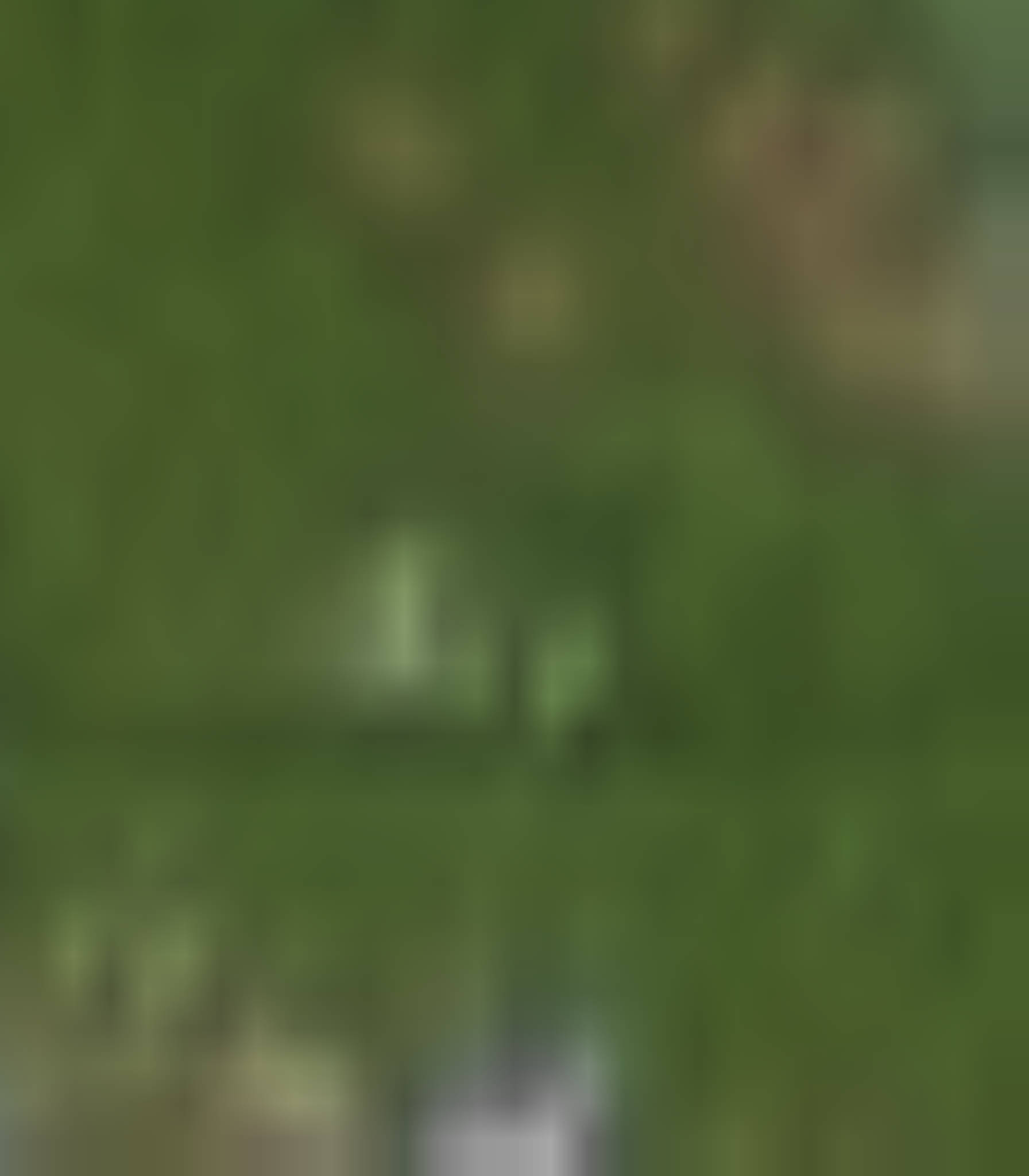 satLayer