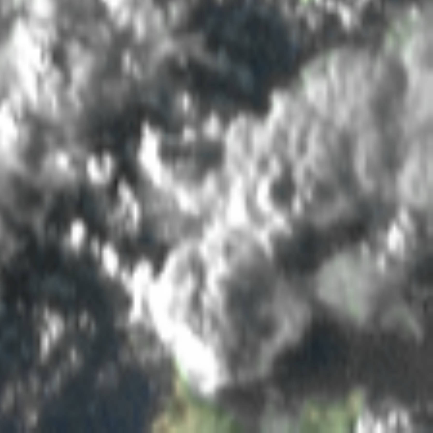 satLayer