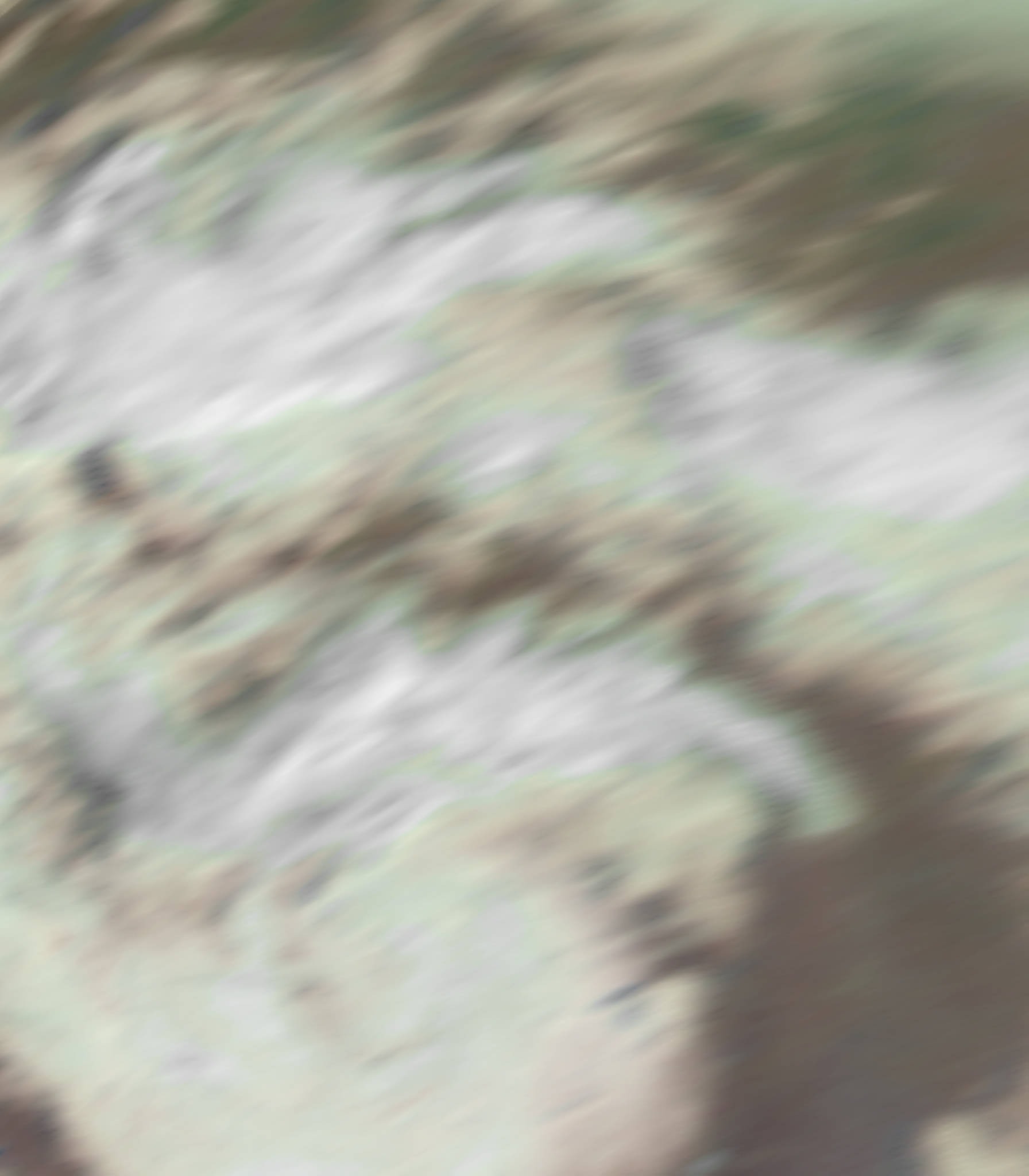 satLayer