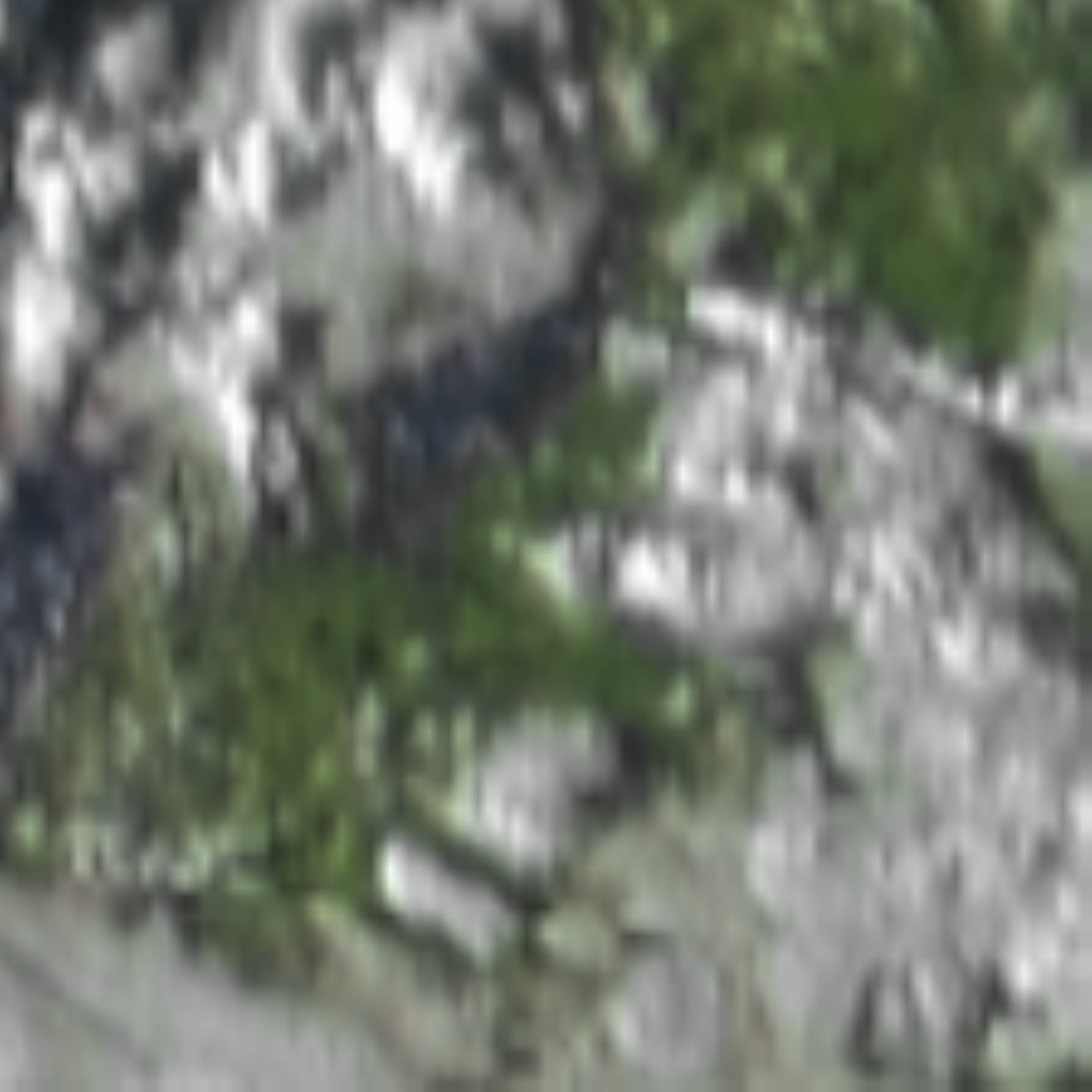 satLayer